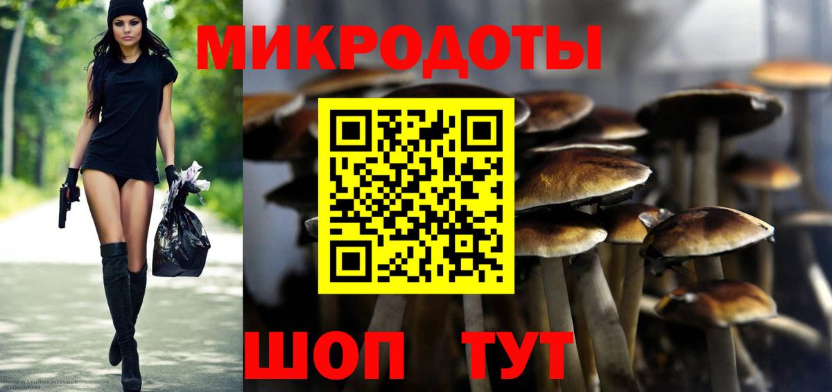 Галлюциногенные грибы Magic Shrooms  Вход с VPN  Новочебоксарск  Псилоцибиновые грибы GOLDEN TEACHER 